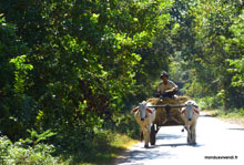 Siem Reap -Cambodge